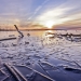 Steinhuder Meer Eiswasser